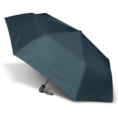 Economist Umbrella Thumbnail