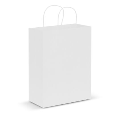 Paper Carry Bag - Medium Thumbnail